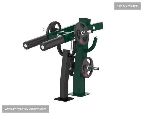 负重健身器材:负重型健身器材的训练作用及安全注意事项 负重健身器材:负重型健身器材的训练作用及安全注意事项