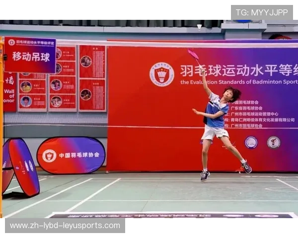 羽毛球项目水平